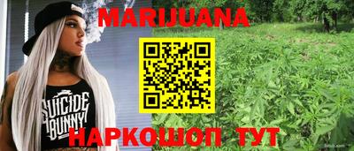 прущие крисы Гатчина